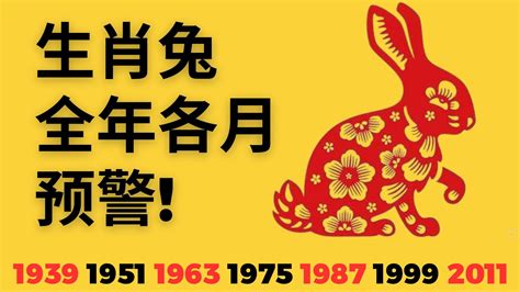 2023屬兔姓名學|【2023屬兔姓名學】搶先看！2023屬兔姓名學：必知禁忌+新生兒。